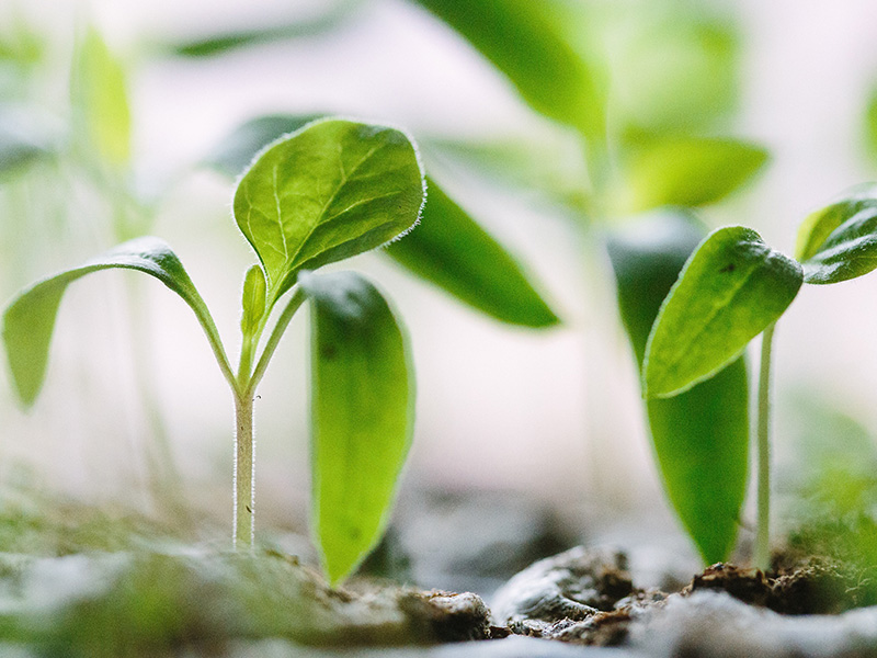 Aprendiendo de lo nuevo…