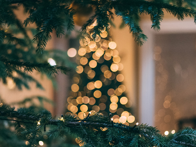 El Árbol Del Universo En Tu Casa