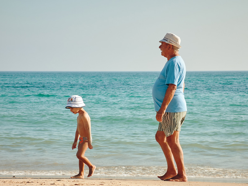 Los Ciclos De La Vida