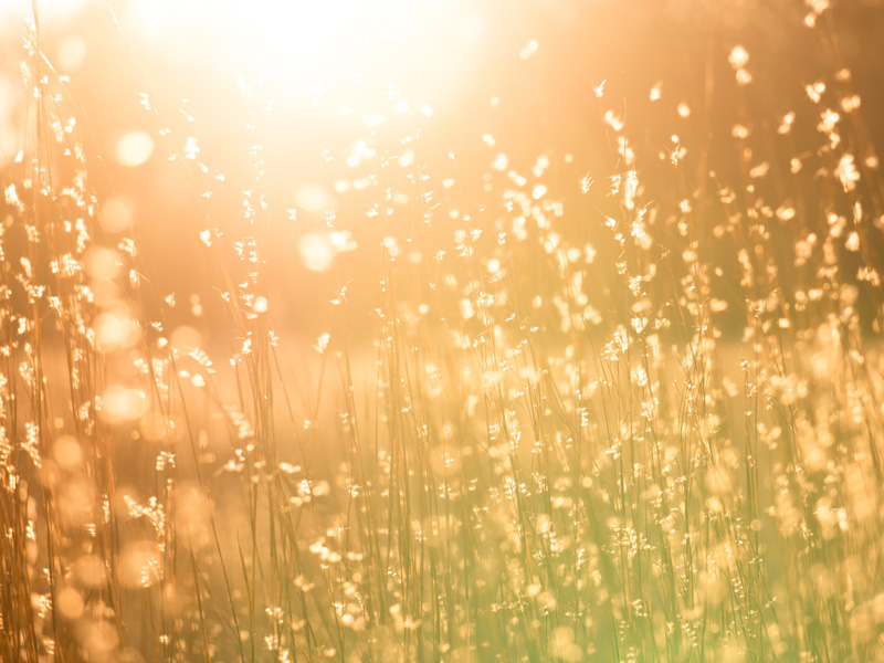 ¿Qué Es Atraer La Prosperidad?