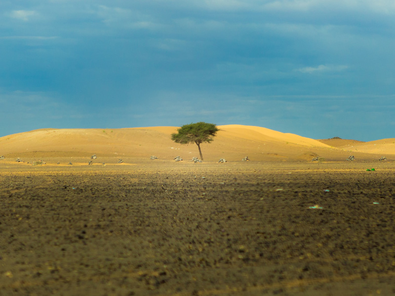 ¿Que Es La Resiliencia?