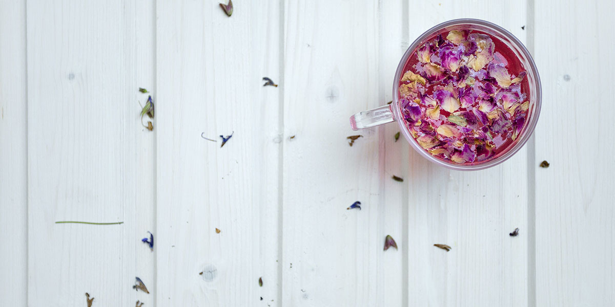 PLANTAS MEDICINALES PARA EL HÍGADO Y LA VESÍCULA BILIAR