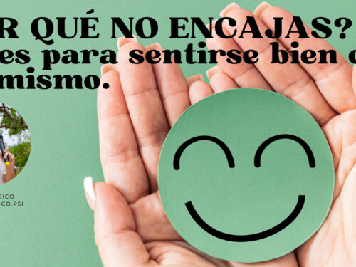 ¿POR QUÉ NO ENCAJAS? Claves para sentirse bien con uno mismo.