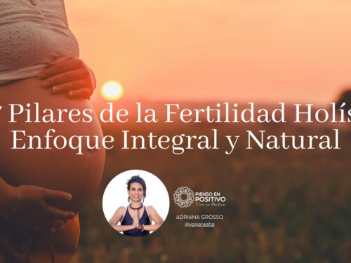Los 7 Pilares de la Fertilidad Holística: Enfoque Integral y Natural